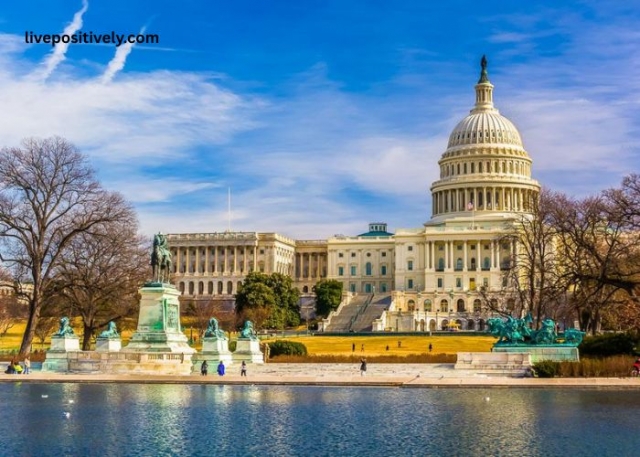 Your Ultimate Guide to Choosing the Best Washington DC Event Planner