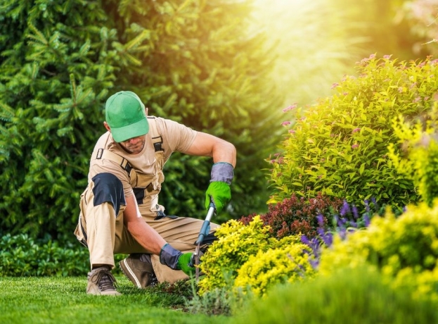 5 Signs Your Garden Needs Professional Help