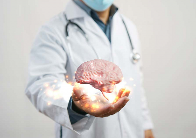 Exploring the Connection Between Gut Health and Mental Health