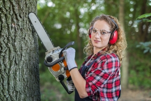 Discover the Top Major Benefits of Regular Tree Maintenance and Pruning  Discover the Top Major Benefits of Regular Tree Maintenance and Pruning