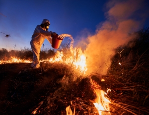 Red Beard Cutting and Clearing: Expert Wildfire Mitigation and Hazard Tree Removal in Minnesota Red Beard Cutting and Clearing: Expert Wildfire Mitigation and Hazard Tree Removal in Minnesota