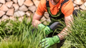 Replant Tree in Same Spot Replant Tree in Same Spot