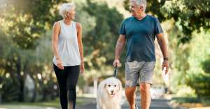 Accessible and Fun Exercises for Seniors To Try Accessible and Fun Exercises for Seniors To Try