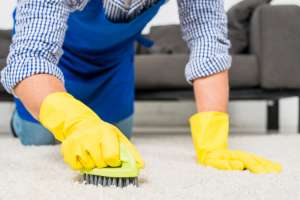 The Difference Between DIY and Professional Carpet Care The Difference Between DIY and Professional Carpet Care