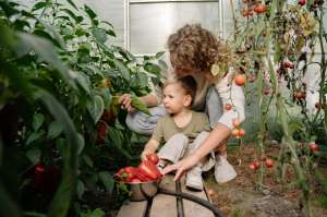 Why Gardening Teaches Kids Important Life Skills Why Gardening Teaches Kids Important Life Skills