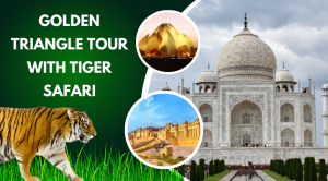 golden triangle tour with Ranthambore  golden triangle tour with Ranthambore