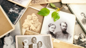 Which Genealogy Service Is the Best? Which Genealogy Service Is the Best?