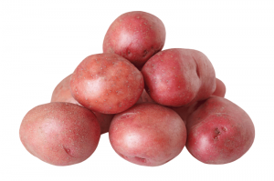 Red potatoe Red potatoe