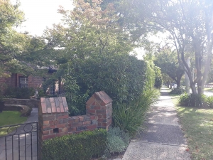 road noise road noise