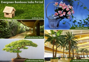 Home Decor Home Decor