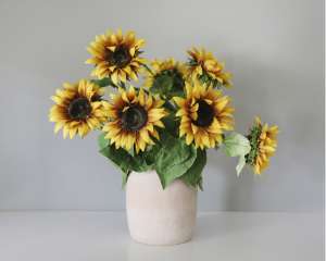 Sunflowers: A Year-Round Ray of Sunshine for Your Home Sunflowers: A Year-Round Ray of Sunshine for Your Home