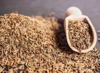 the most important health benefits of cumin the most important health benefits of cumin