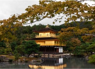 A travel to Japan cannot be improvised A travel to Japan cannot be improvised