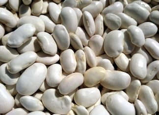 benefits of white beans benefits of white beans