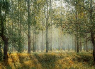 safe environment harmony safe environment harmony